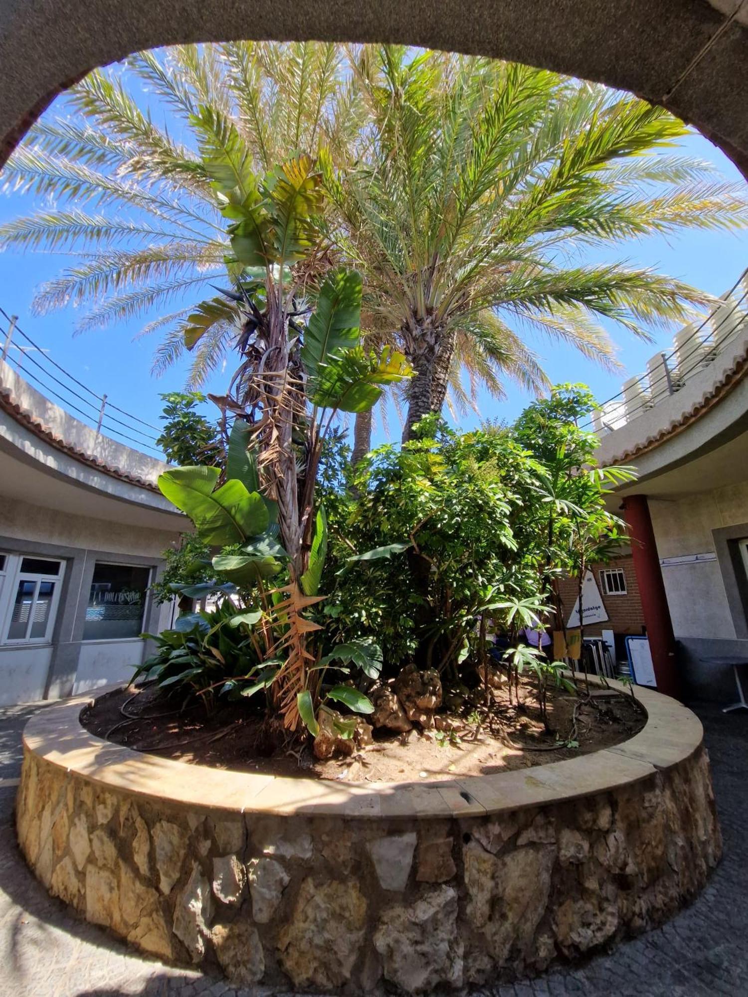 Apartamento Barbacoa, Piscina Y Playa Pobla de Farnals  Exterior foto