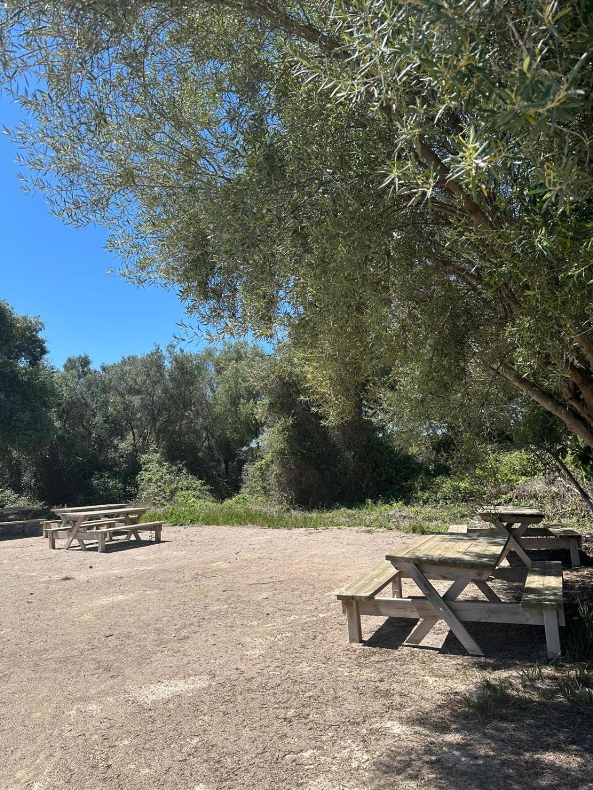 Apartamento Barbacoa, Piscina Y Playa Pobla de Farnals  Exterior foto